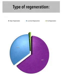 Survey Results - Type of Regeneration
